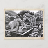 PygmyPets Friends – はがき (正面)