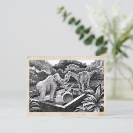 PygmyPets Friends – はがき (スタンド正面)