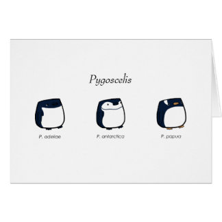 Pygoscelisカード