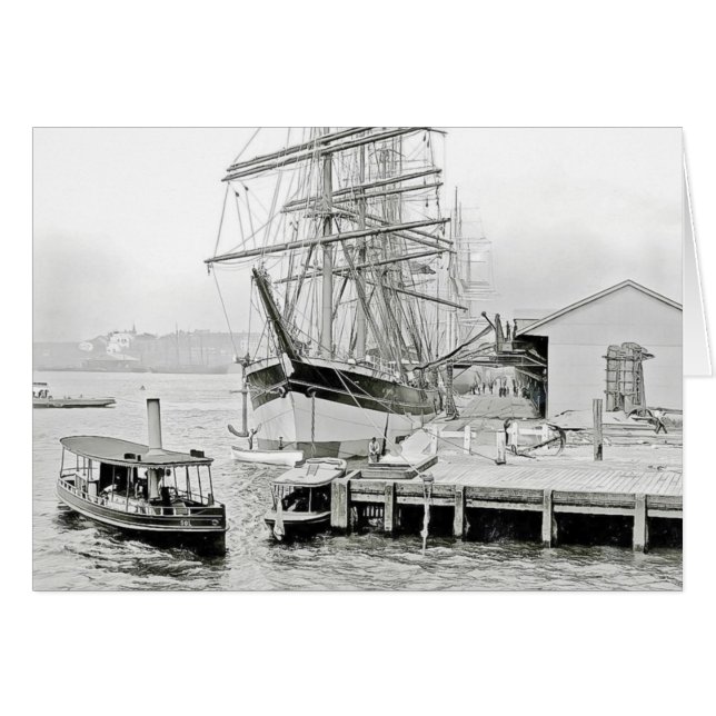 Pymount湾、オーストラリア (正面横)