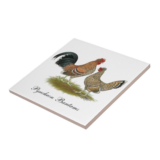 Pyncheonのチャボ タイル (側面)