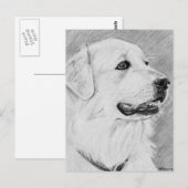 PyreneanMountainDog.jpg ポストカード (正面/裏面)
