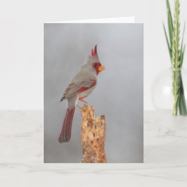 Pyrhuloxiaオン枝 カード