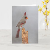 Pyrhuloxiaオン枝 カード (黄色い花)