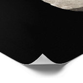 Pyrite Crystals in Shale ポスター (角)