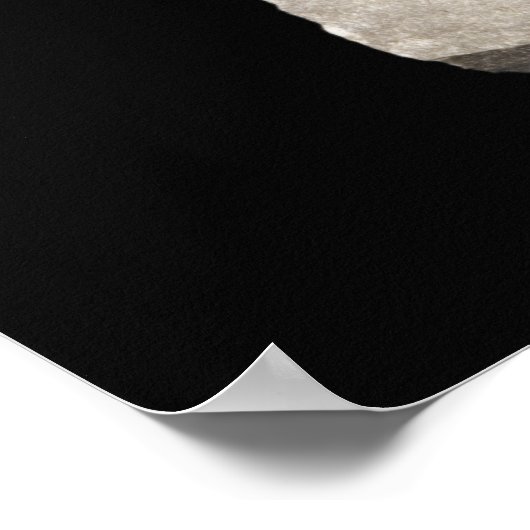 Pyrite Crystals in Shale ポスター (角)