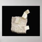 Pyrite Crystals in Shale ポスター (正面)