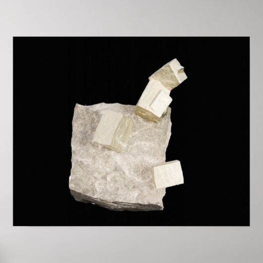 Pyrite Crystals in Shale ポスター (正面)