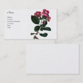 Pyrus Japonica 名刺 (正面/裏面)