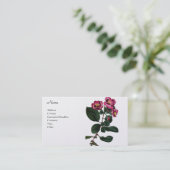 Pyrus Japonica 名刺 (スタンド正面)