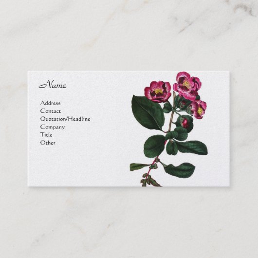 Pyrus Japonica 名刺 (正面)