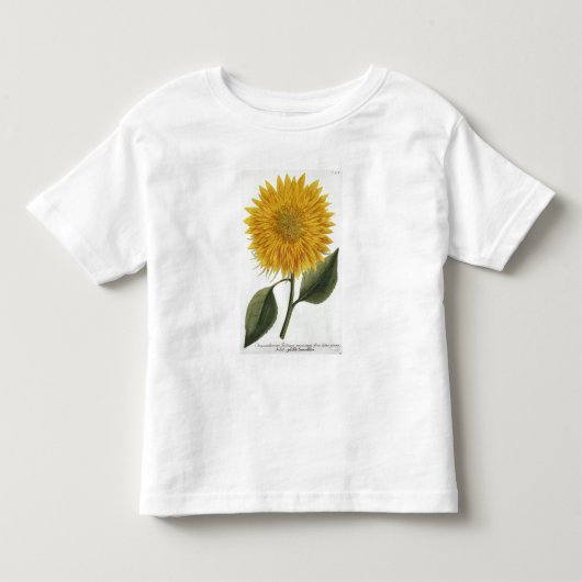「Pythanthoza Iconographからの菊Indicum トドラーTシャツ (正面)