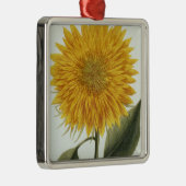 「Pythanthoza Iconographからの菊Indicum メタルオーナメント (右)