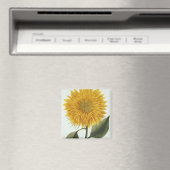 Pythanthoza Iconographの菊印 マグネット (インサイチュ (食洗機))