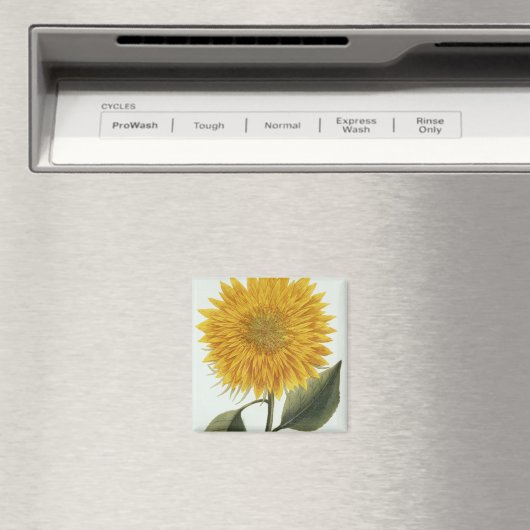 Pythanthoza Iconographの菊印 マグネット (インサイチュ (食洗機))