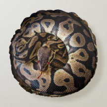 Pythonおもしろいヘビをイタズラする