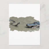 Pythonとアリゲータ ポストカード (正面)