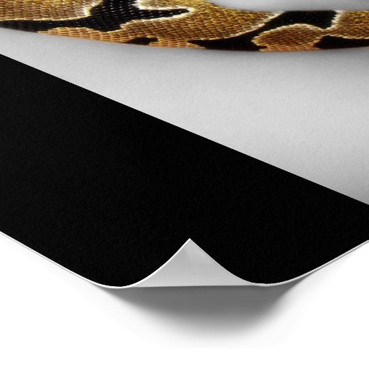 Pythonの子守歌 ポスター (角)