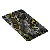 Pythonのmourus bivitatus マグネット (右側)