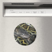 Pythonのmourus bivitatus マグネット (インサイチュ (食洗機))