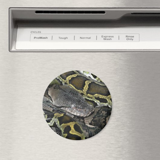 Pythonのmourus bivitatus マグネット (インサイチュ (食洗機))