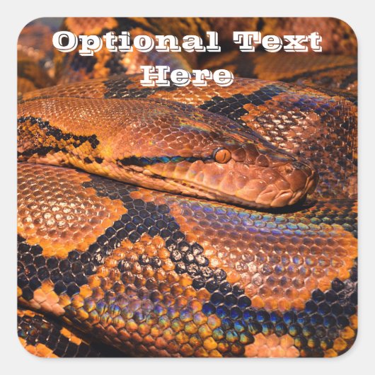 Pythonヘビ スクエアシール (正面)