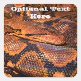 Pythonヘビ スクエアシール