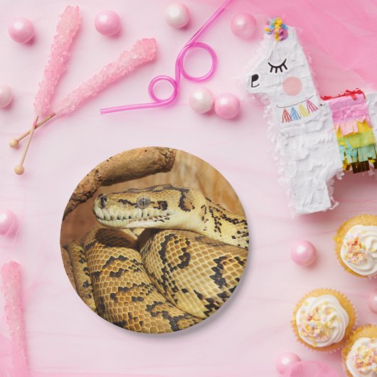 Pythonヘビ ペーパープレート (パーティー)