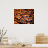 Pythonヘビ ポスター (キッチン)