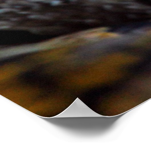 Python ポスター (角)