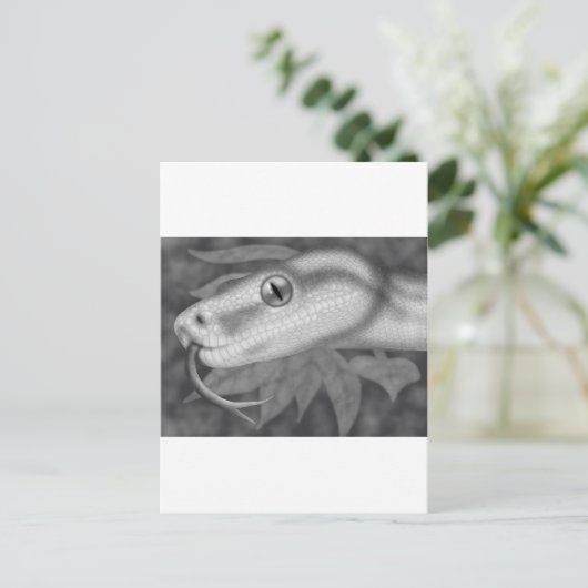 Python ポストカード (スタンド正面)