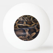Python 卓球ボール (裏面)