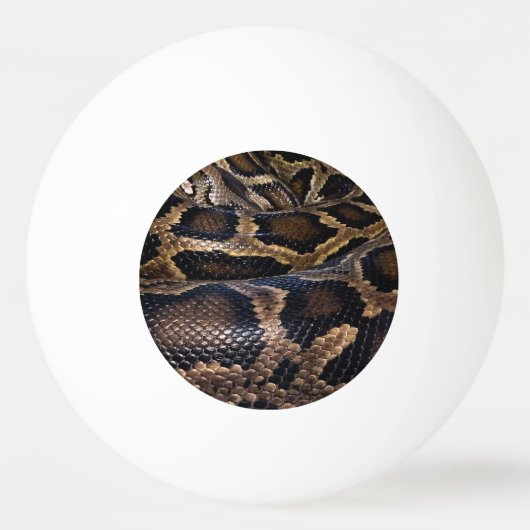 Python 卓球ボール (裏面)