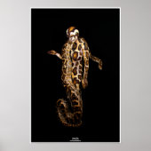 Python by Johannes Stetter ポスター (正面)