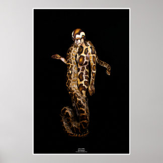 Python by Johannes Stetter ポスター