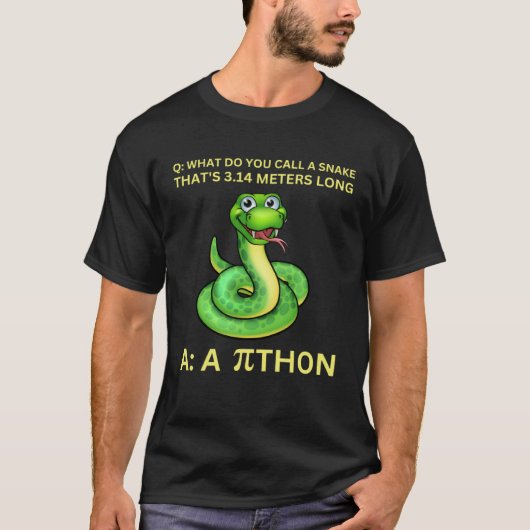 Python Pithon Piデイマテマティック数学先生女性 Tシャツ (正面)