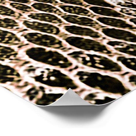 python skin, snake pattern, animal skin pattern de ポスター (角)