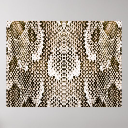python skin, snake pattern, animal skin pattern de ポスター (正面)