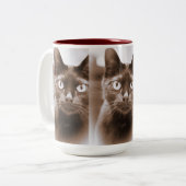 Pywacket Potrait Iのマグ ツートーンマグカップ (正面左)