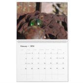 Qの大理石を緩めますII カレンダー (2月 2026)