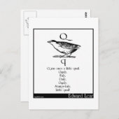 Qはかつてちょっとうずらだった ポストカード (正面/裏面)