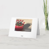 Q.ビクトリア·アガーベとクランベリー(DLBaldwin) カード (裏面)