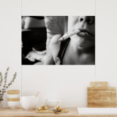 QAS6 ポスター (キッチン)