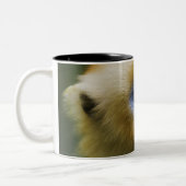 Qinling山、2006年10月 ツートーンマグカップ (左)