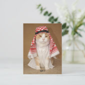 QITT/CAT ポストカード (スタンド正面)