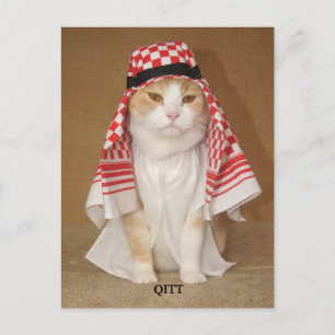 QITT/CAT ポストカード