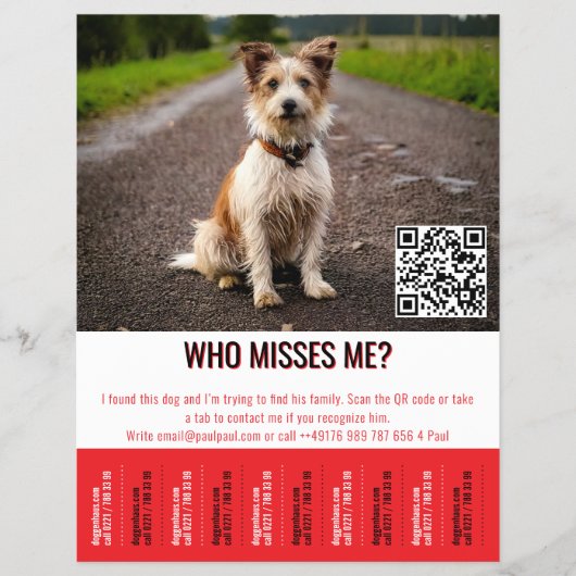 QRコードと切り取り可能なタブ付きの編集可能な迷い犬ポスター チラシ (正面)