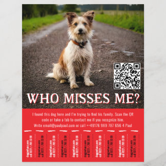 QRコードと切り取り式の編集可能な迷い犬ポスター チラシ