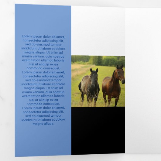 Qrコードの新しいブルートーン二乗 三つ折りカード (内部最初)