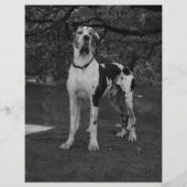 QRコードオレンジ付き販売フライヤーの子犬 (裏面)